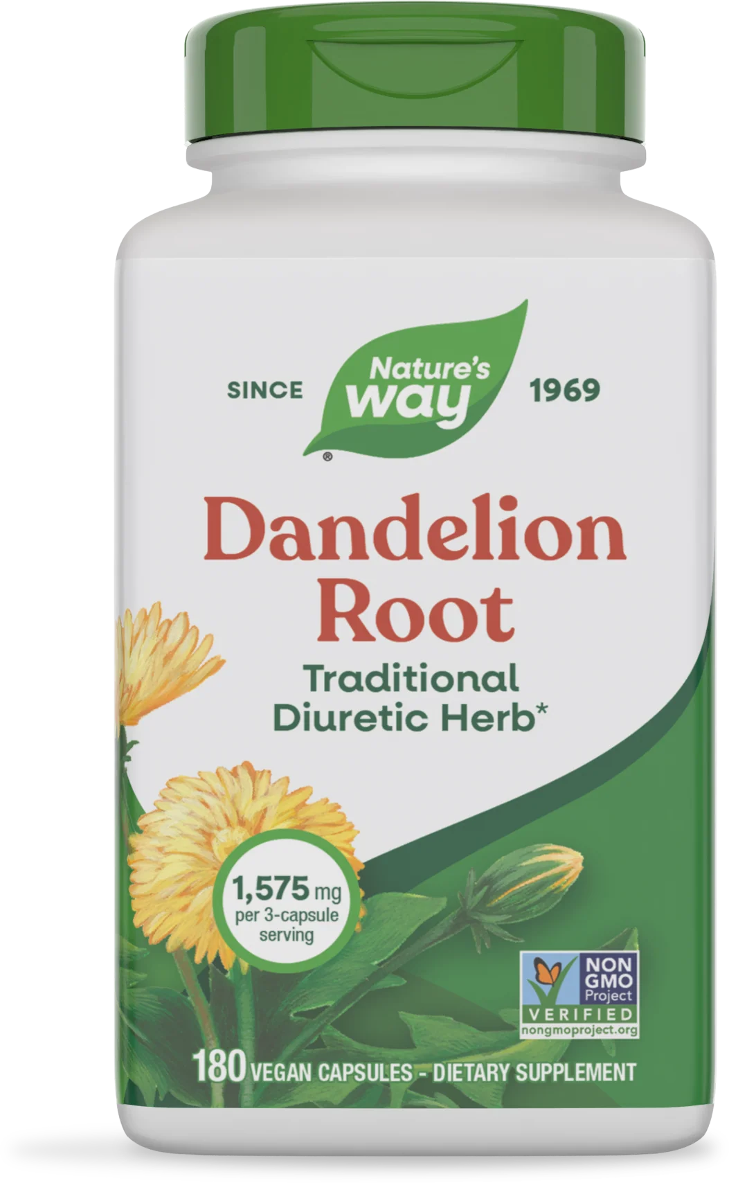 Dandelion Root
