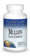 Mullein Lung Complex