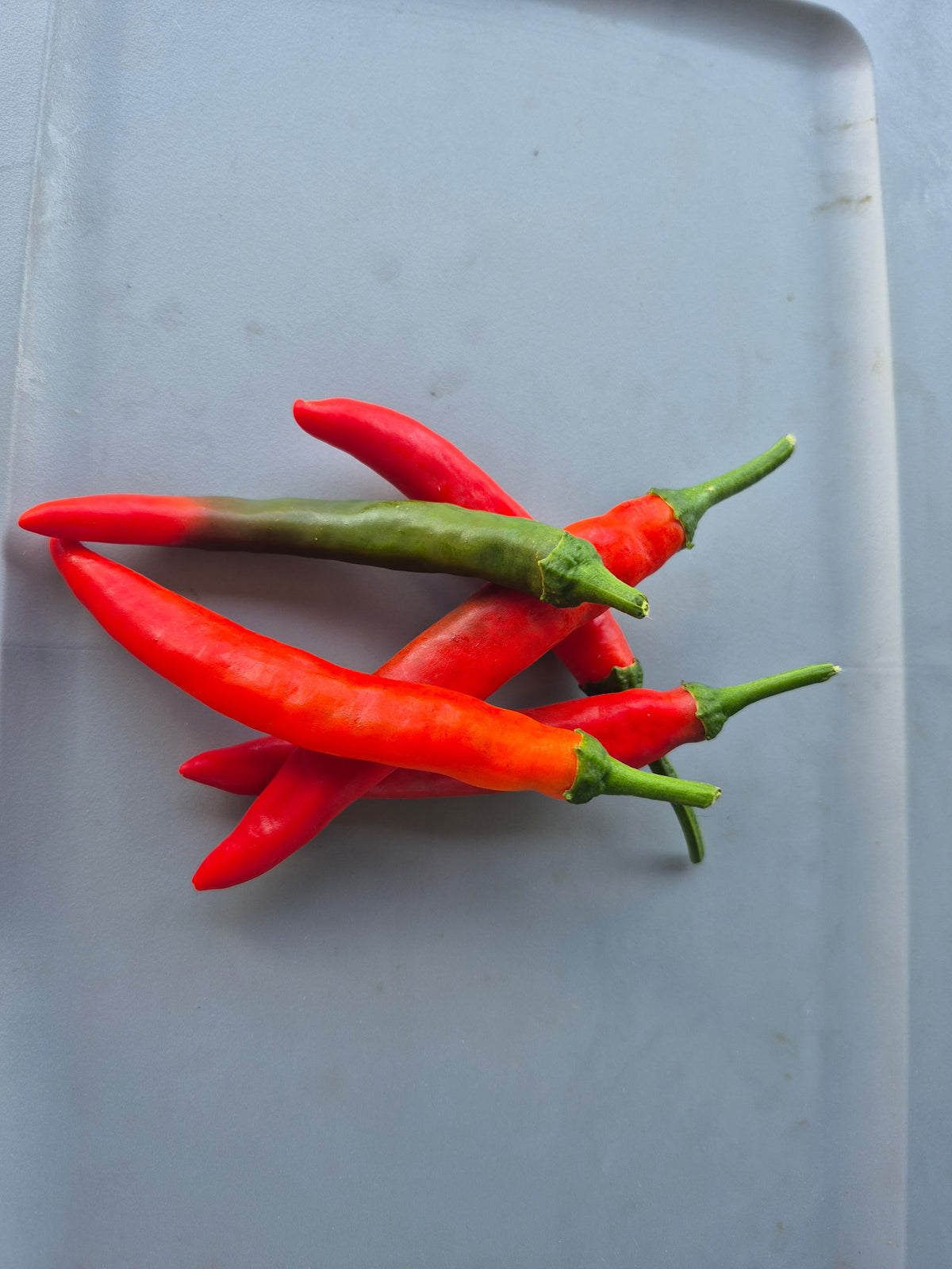 Hot Peppers