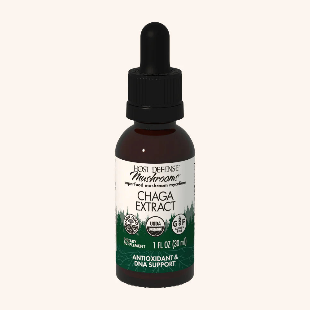 Chaga
