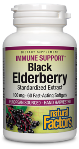 Black Elderberry Standarized Extract
