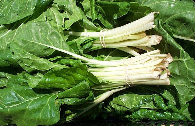 Schweizer Riesen Swiss Chard