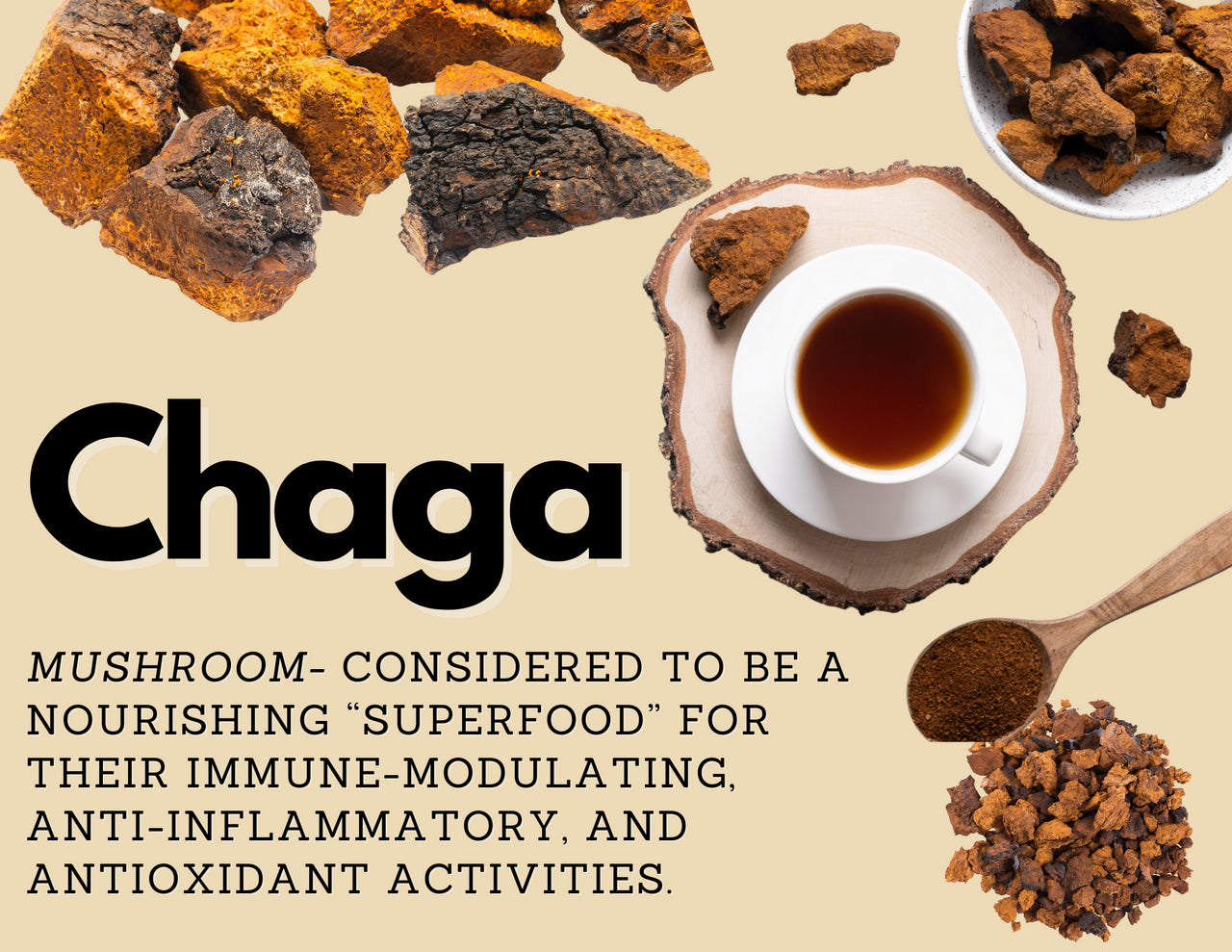 Organic Chaga Mushroom