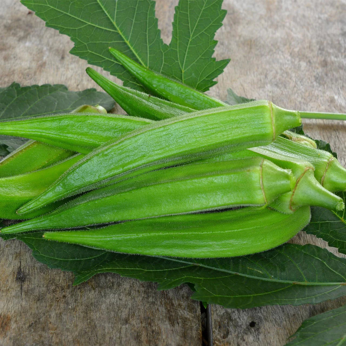 Clemson Spineless Okra