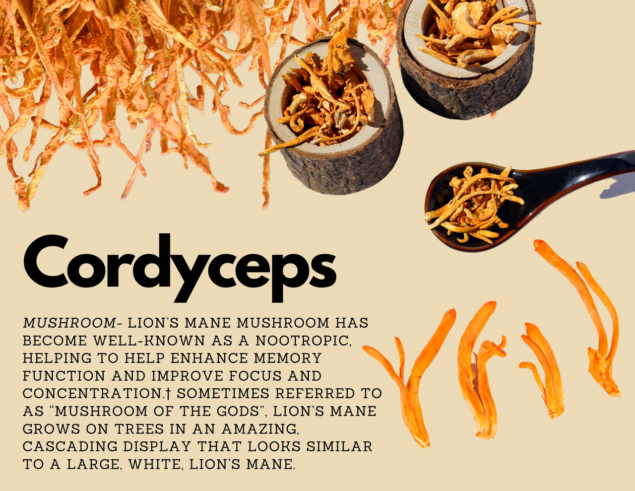 Organic Cordyceps Mushroom