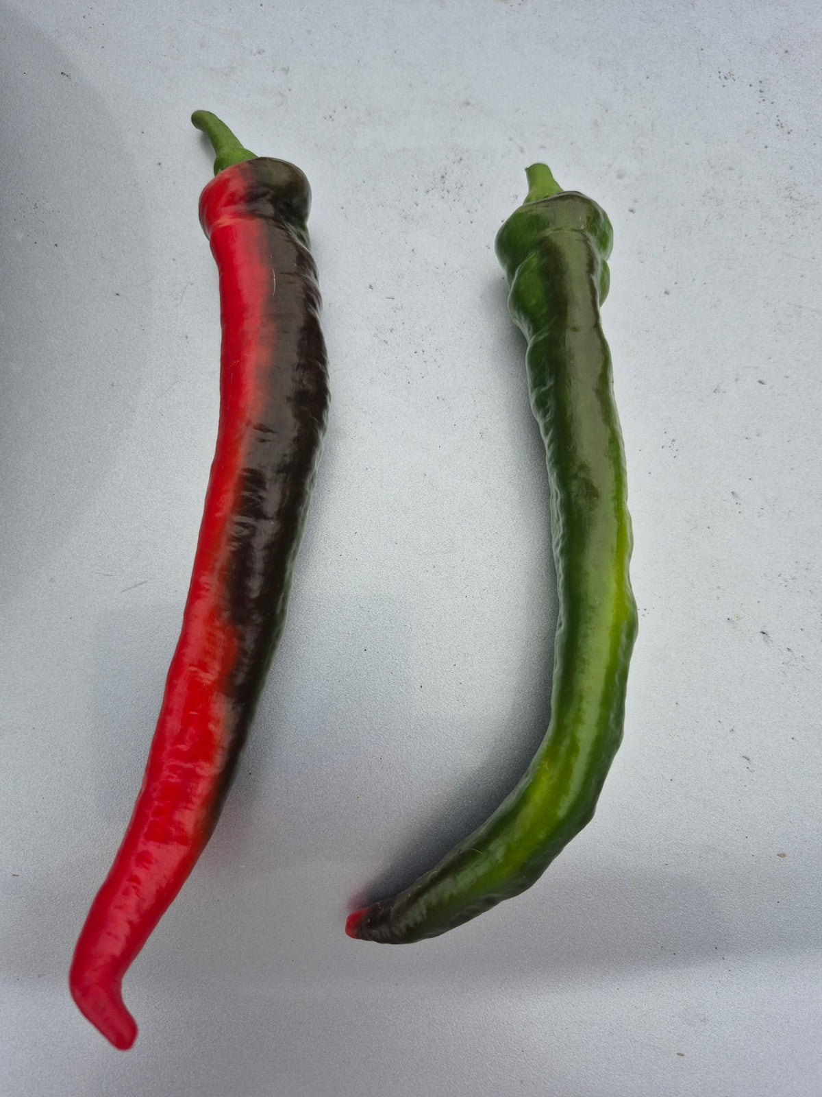 Jimmy Nardello Sweet Peppers