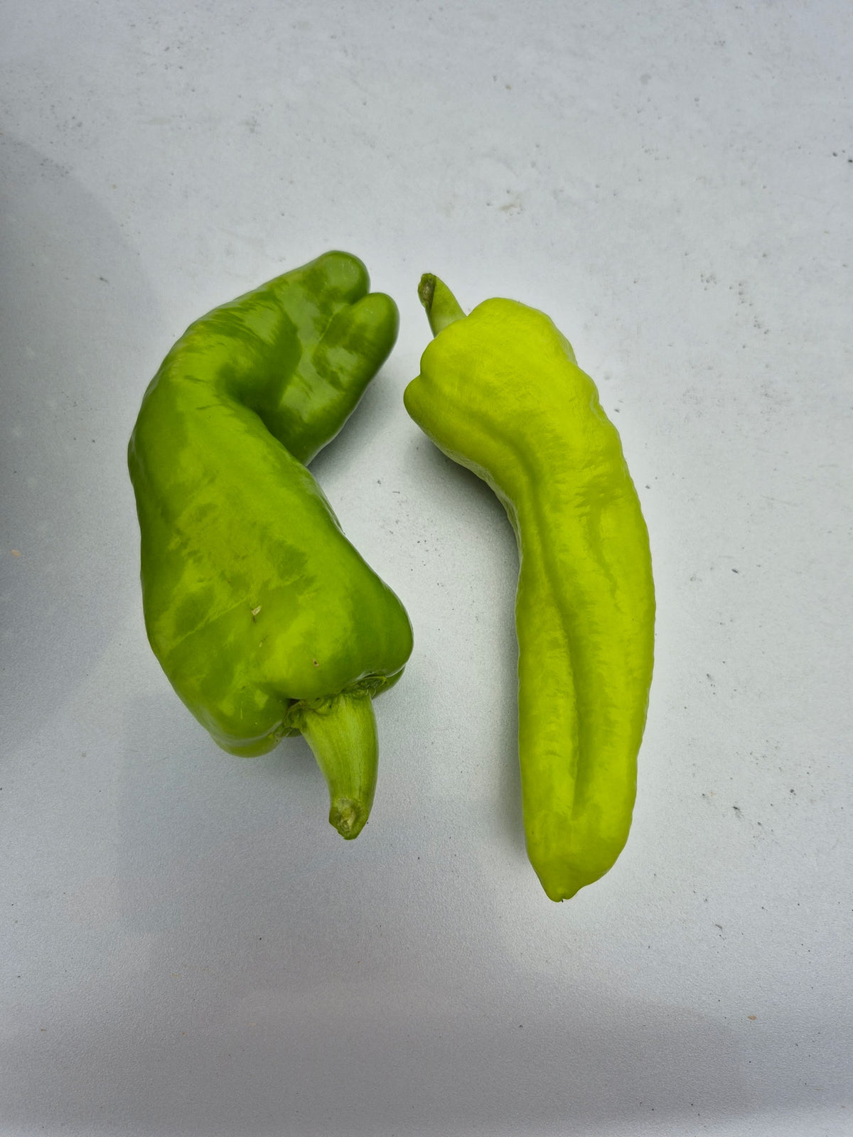 Staddon Select Peppers