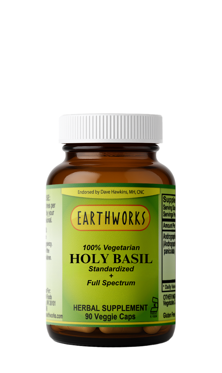 Holy Basil