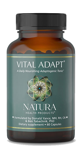 Vital Adapt